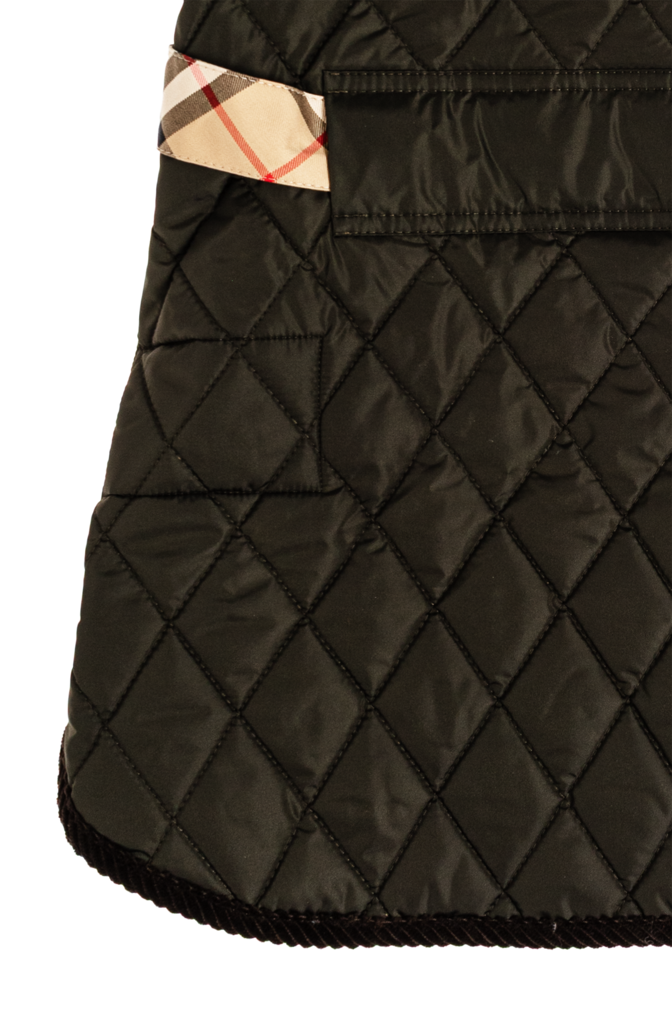 Burberry Dog clothing | Men's | Vitkac